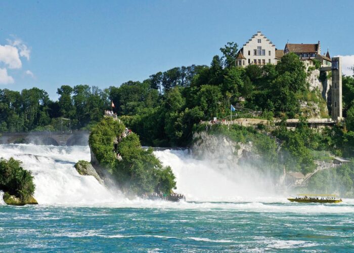 Web ms d3s 1559 cmyk