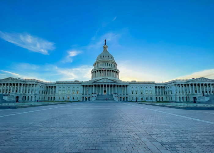 Wilmer olano gbJsH zTqU0 unsplash