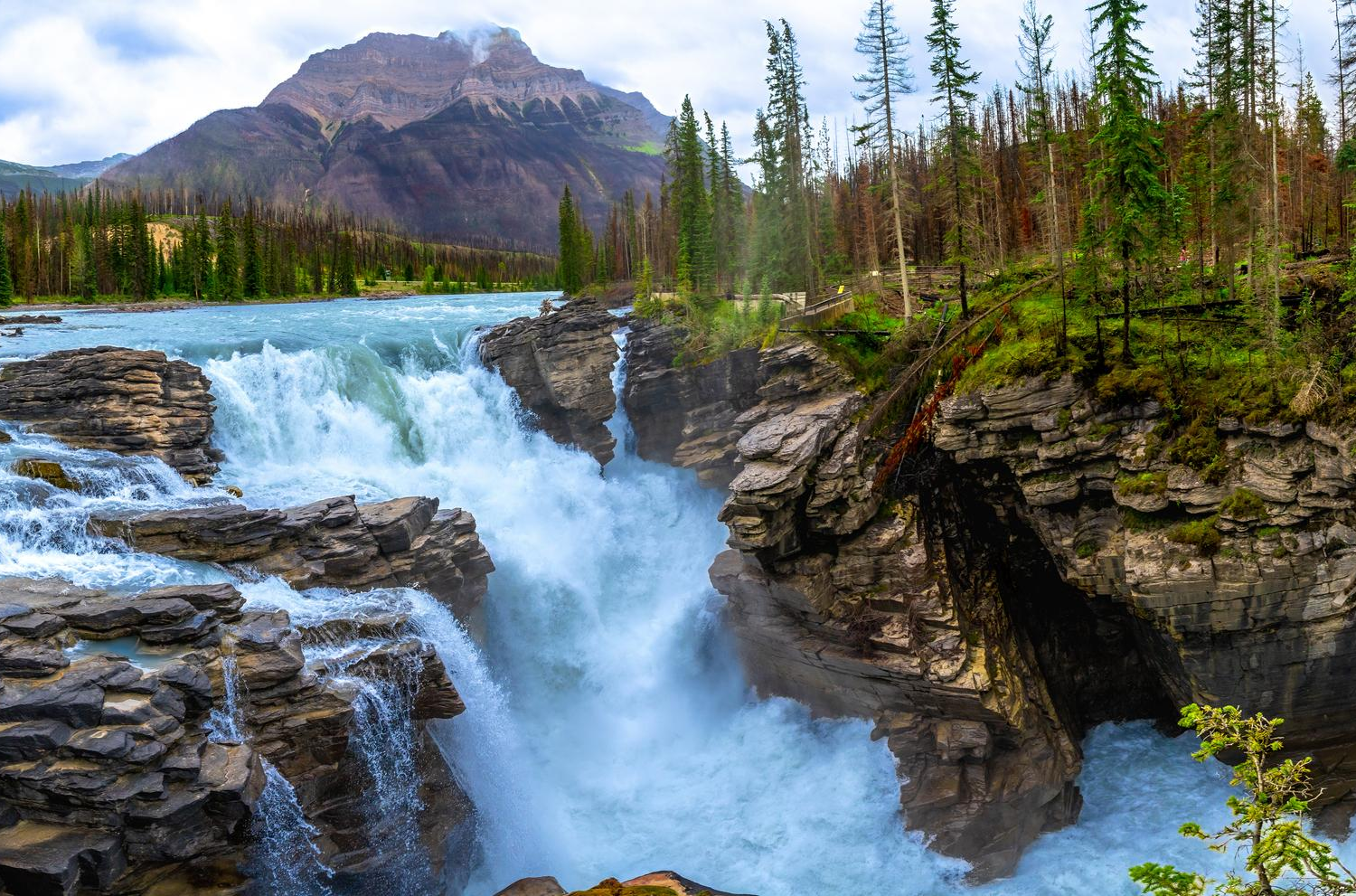 DPW9 7Z02X3GMWfcYEps4QLovWdxTfdwfsg6Zai28C8P q4AfBbCVpCCv8X7Ah98hPkreiSwIxmptFQQNV6z5BjV XcAF7ylxg4HqqHUrVA